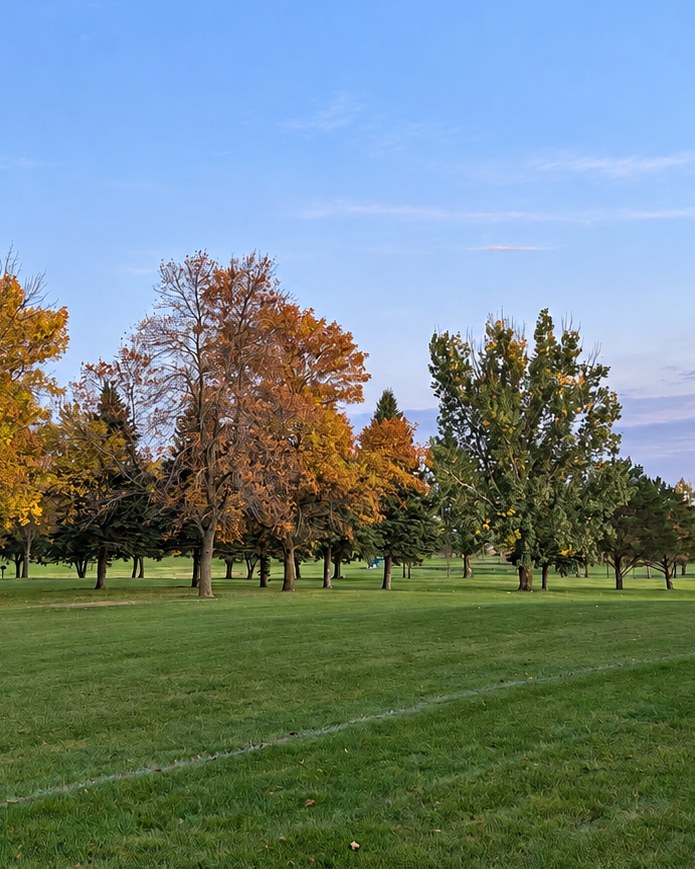 Autumn trees over open ground in Colman, South Dakota, the small town between Brookings and Sioux Falls where Tye Wangberg lives